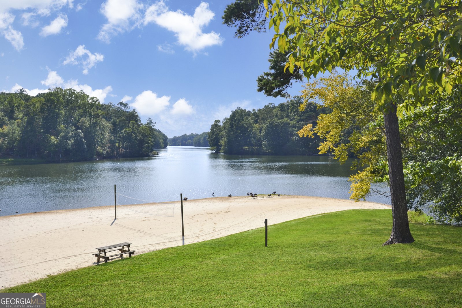 181 Valley View Vista Jasper - Photo 95