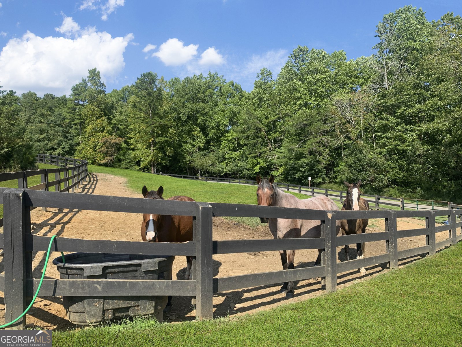 181 Valley View Vista Jasper - Photo 96