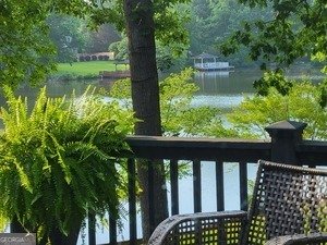 45 Surrey Chase Drive Social Circle - Photo 10