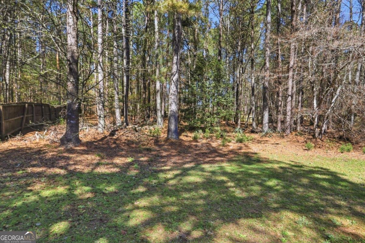 330 Chestnut Drive Covington - Photo 34