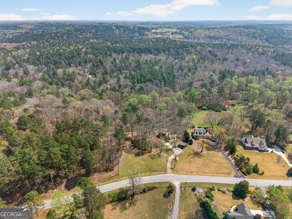 1996 Ewing Chapel Road Dacula - Photo 48