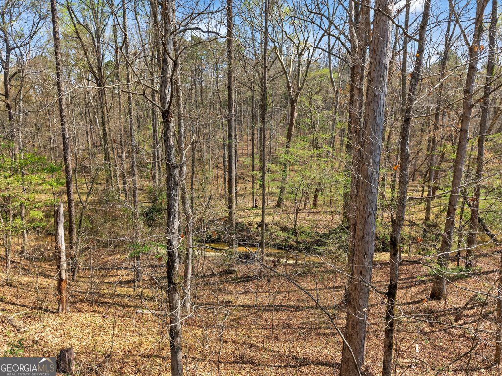 1996 Ewing Chapel Road Dacula - Photo 53