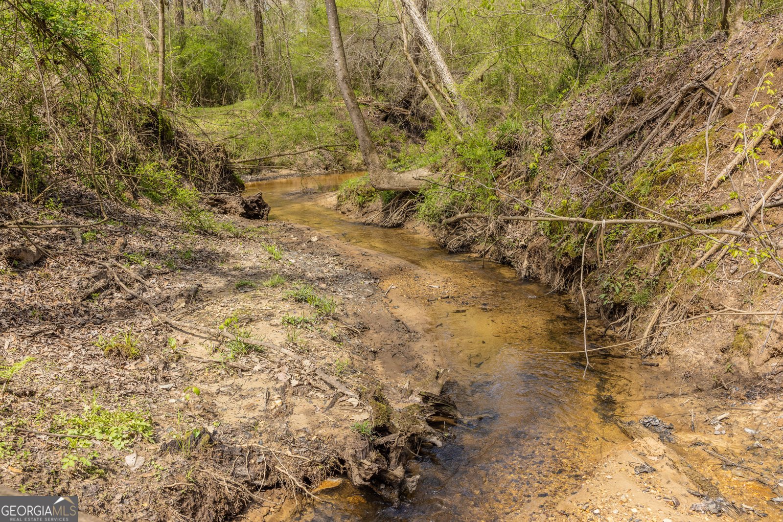 647 Pine Valley Road Meansville - Photo 30