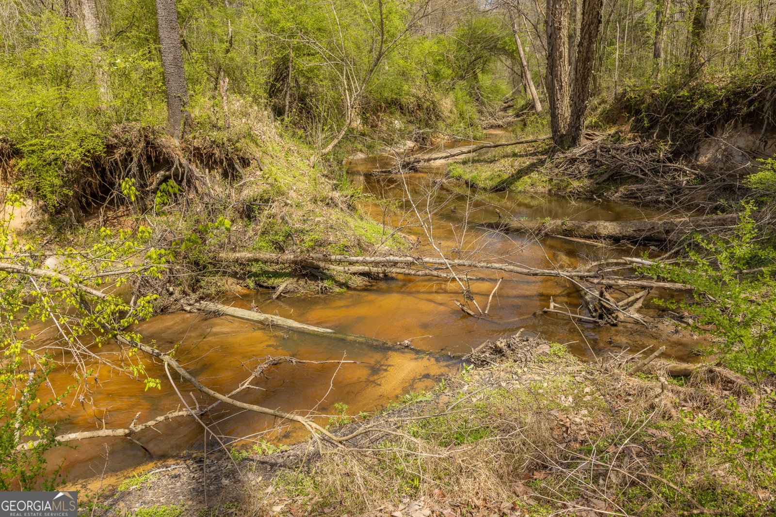 647 Pine Valley Road Meansville - Photo 31