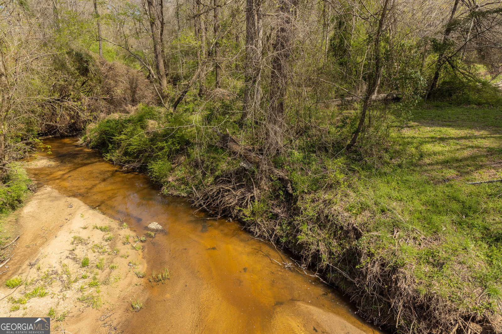 647 Pine Valley Road Meansville - Photo 36