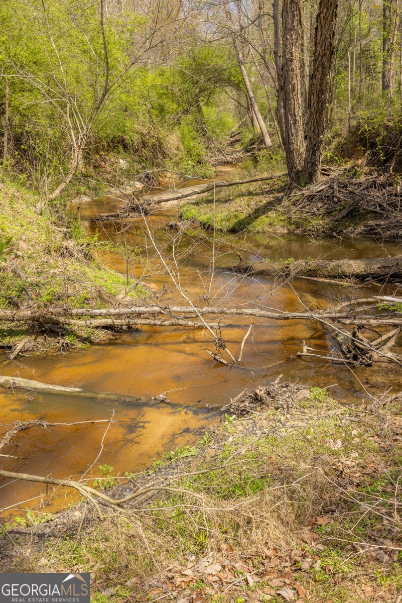 647 Pine Valley Road Meansville - Photo 39