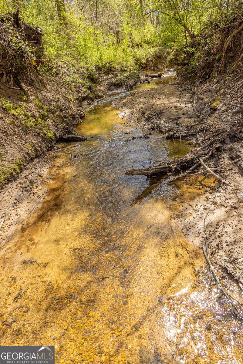 647 Pine Valley Road Meansville - Photo 44