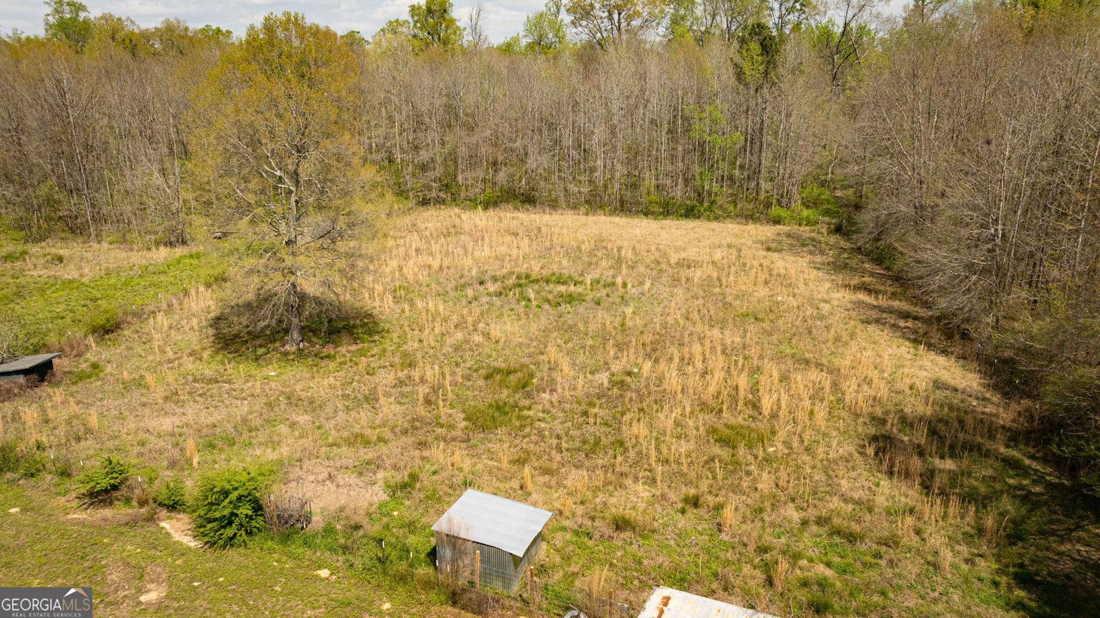 647 Pine Valley Road Meansville - Photo 54