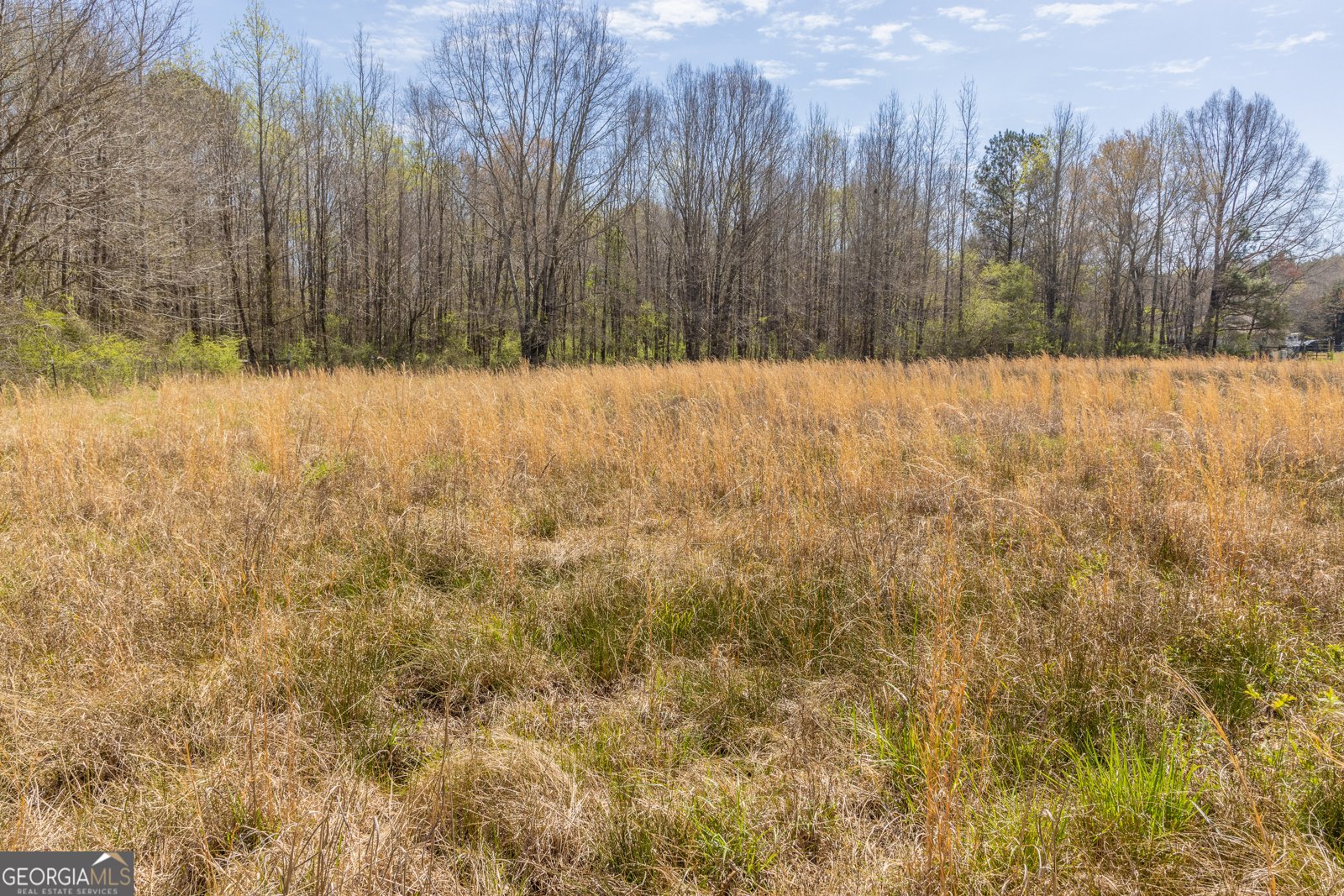 647 Pine Valley Road Meansville - Photo 87