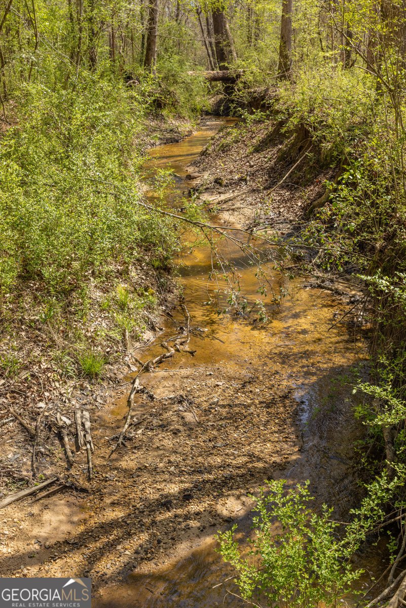 647 Pine Valley Road Meansville - Photo 88