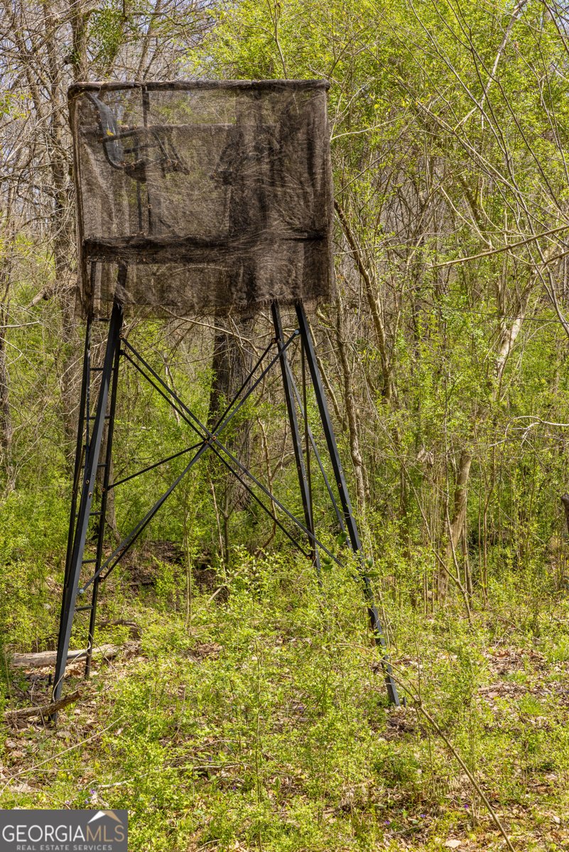 647 Pine Valley Road Meansville - Photo 89