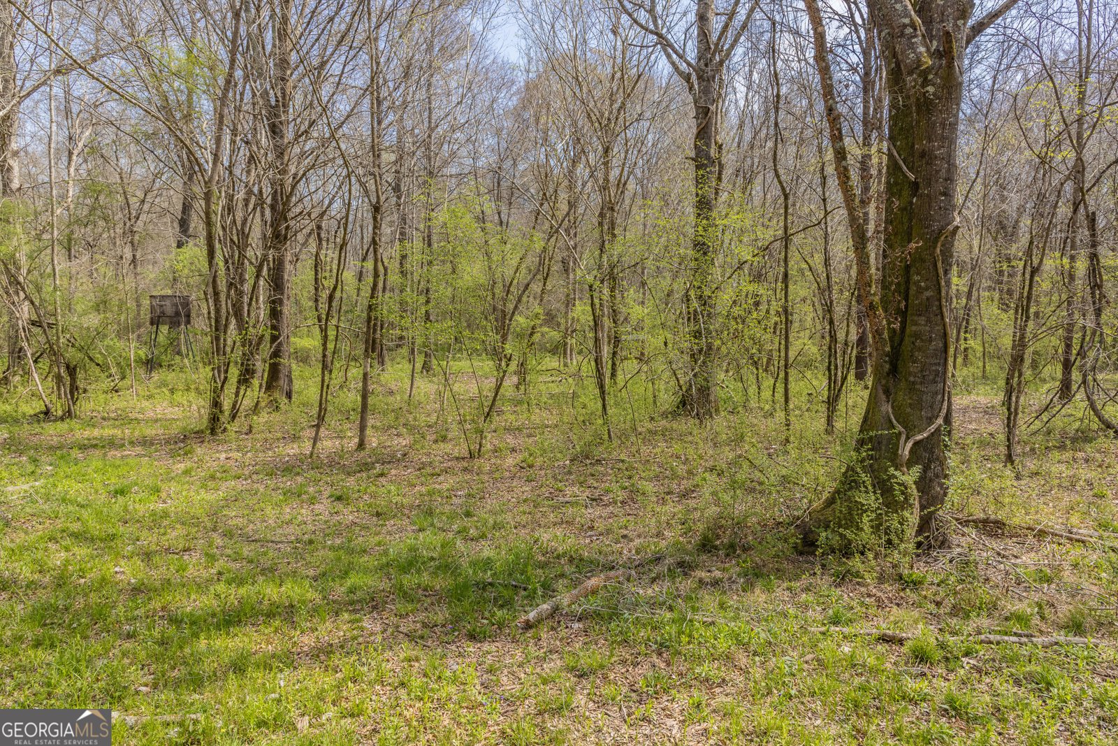 647 Pine Valley Road Meansville - Photo 90