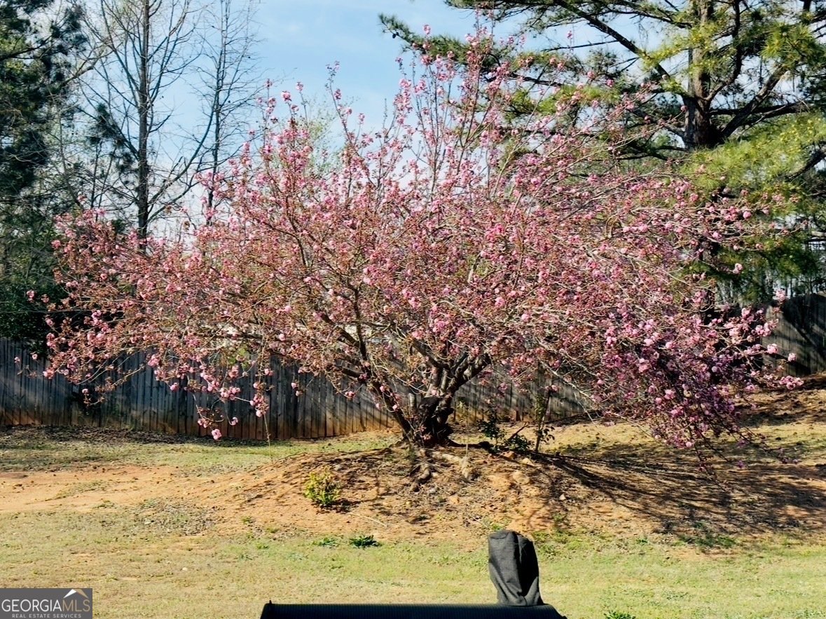 2737 Autumn Lake Lane Decatur - Photo 49