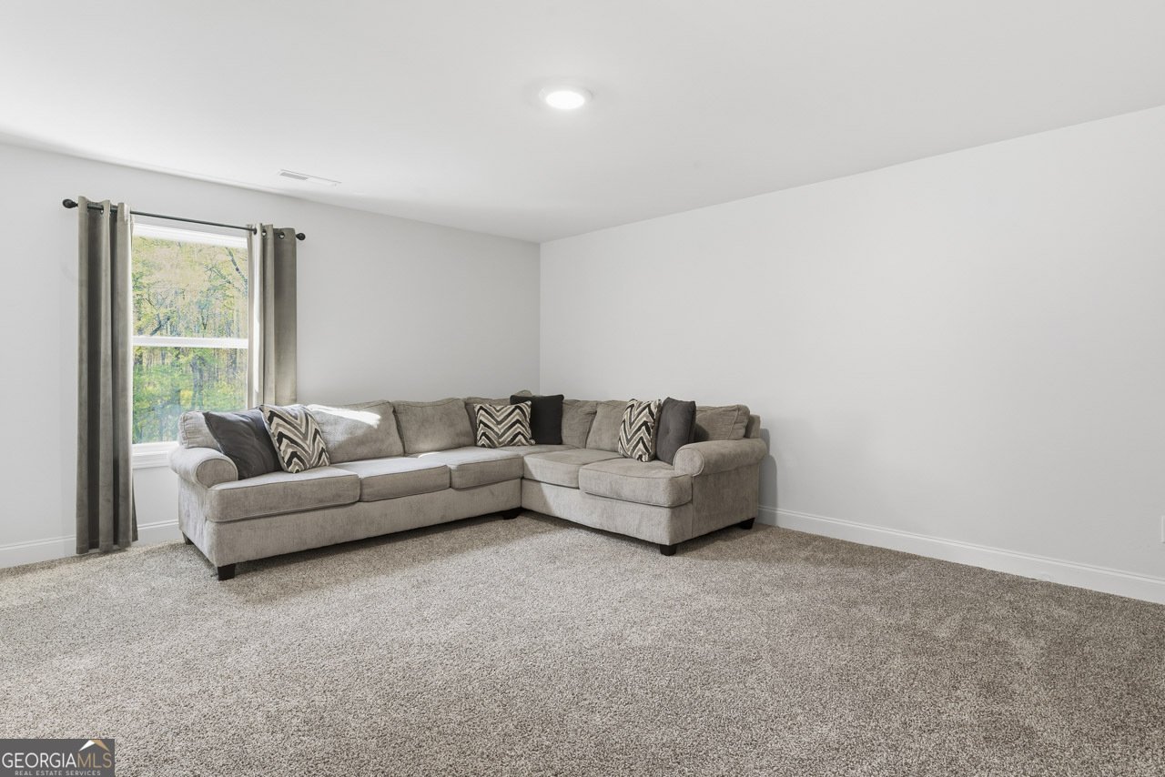 1058 Lawshe Road Senoia - Photo 43