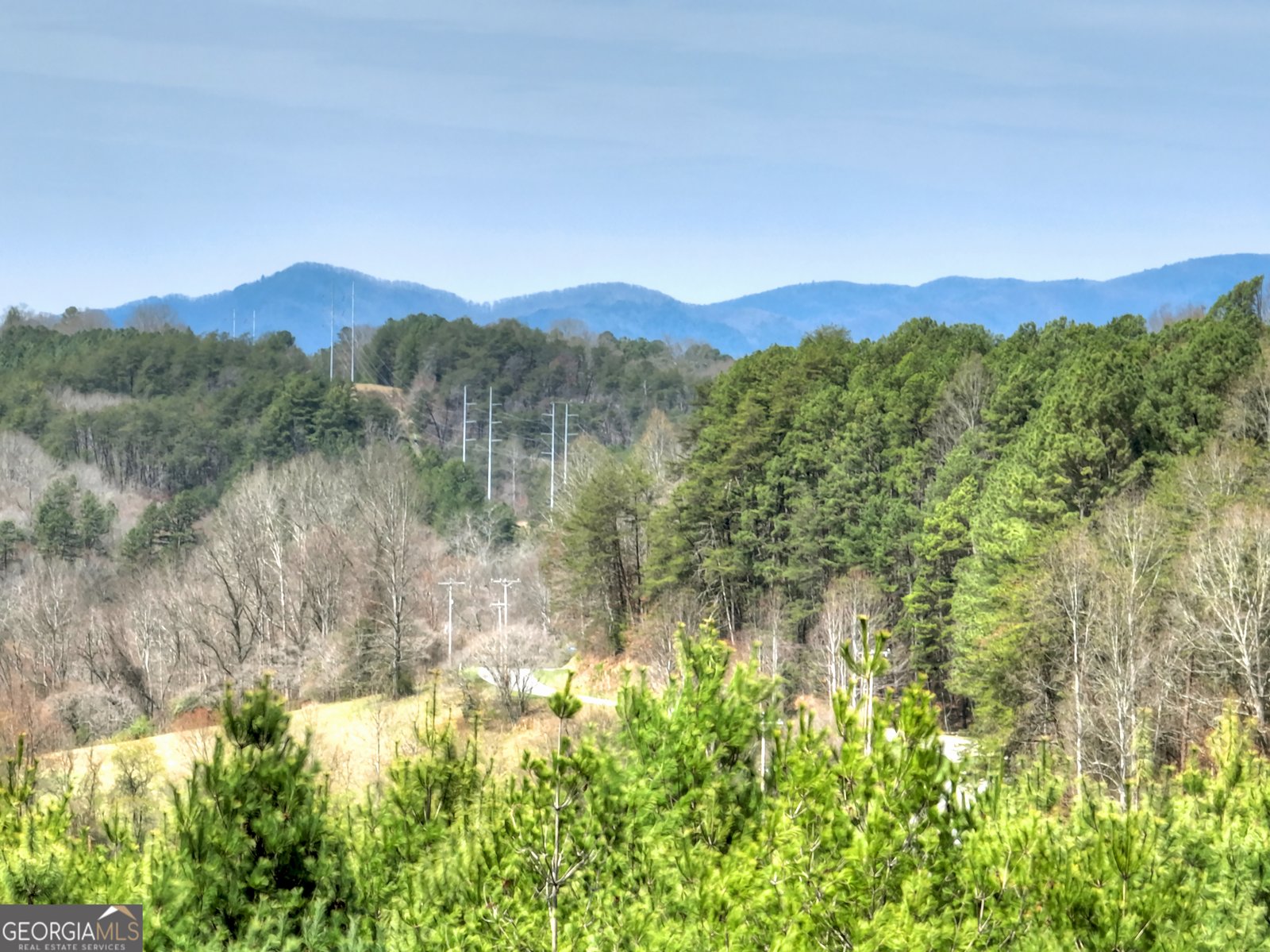 82 Indian Trace Mineral Bluff - Photo 15