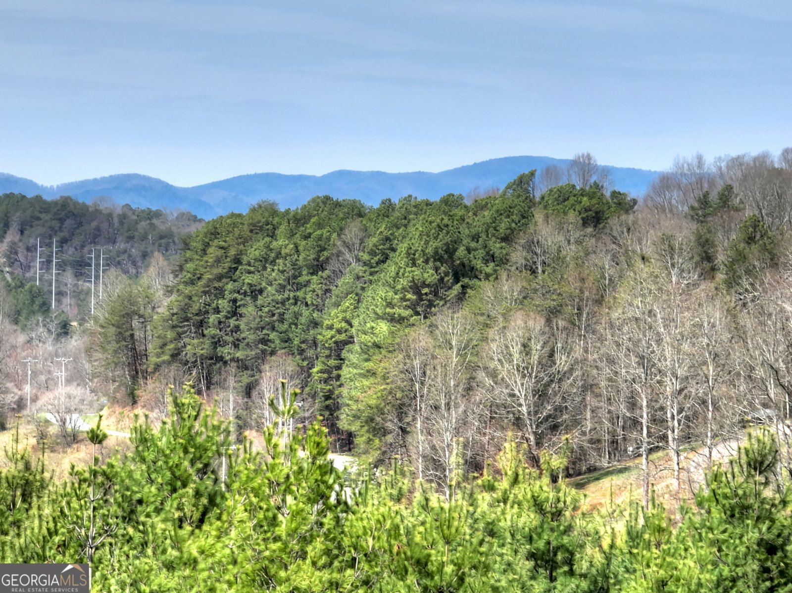 82 Indian Trace Mineral Bluff - Photo 16
