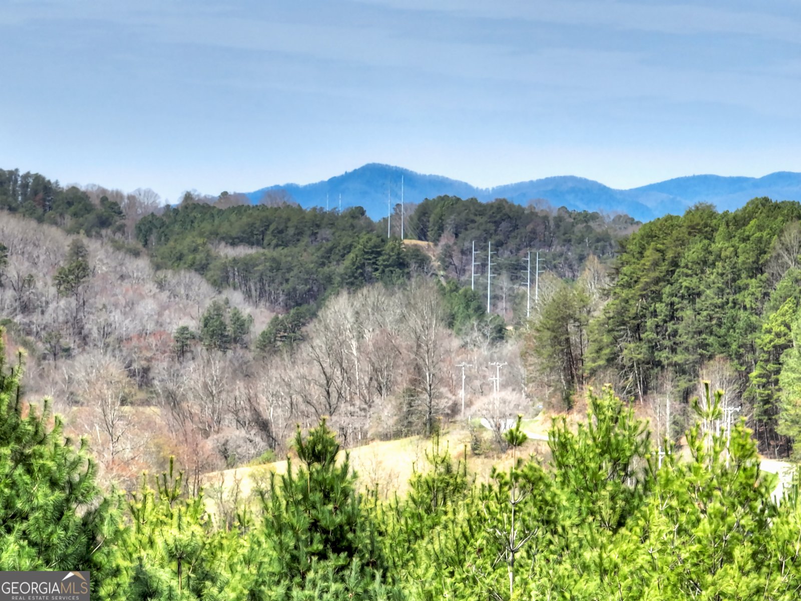 82 Indian Trace Mineral Bluff - Photo 17