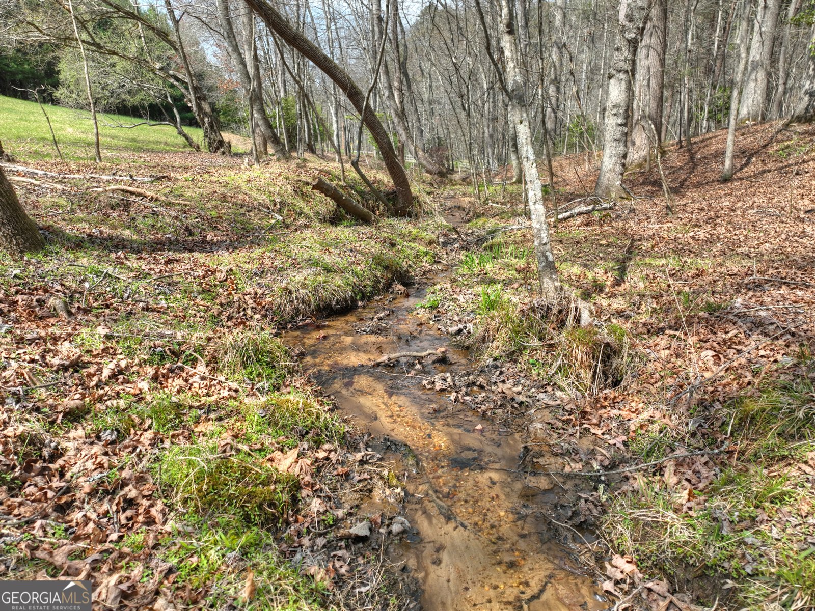 82 Indian Trace Mineral Bluff - Photo 55