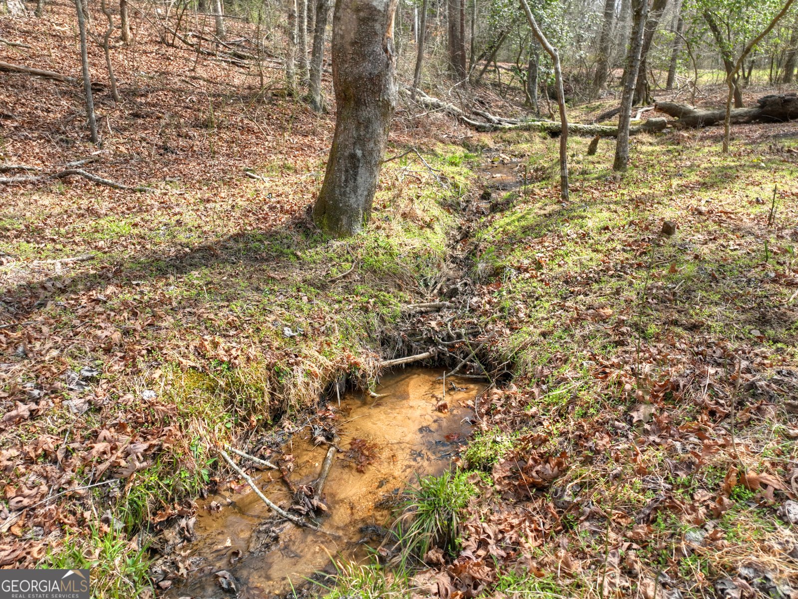 82 Indian Trace Mineral Bluff - Photo 56