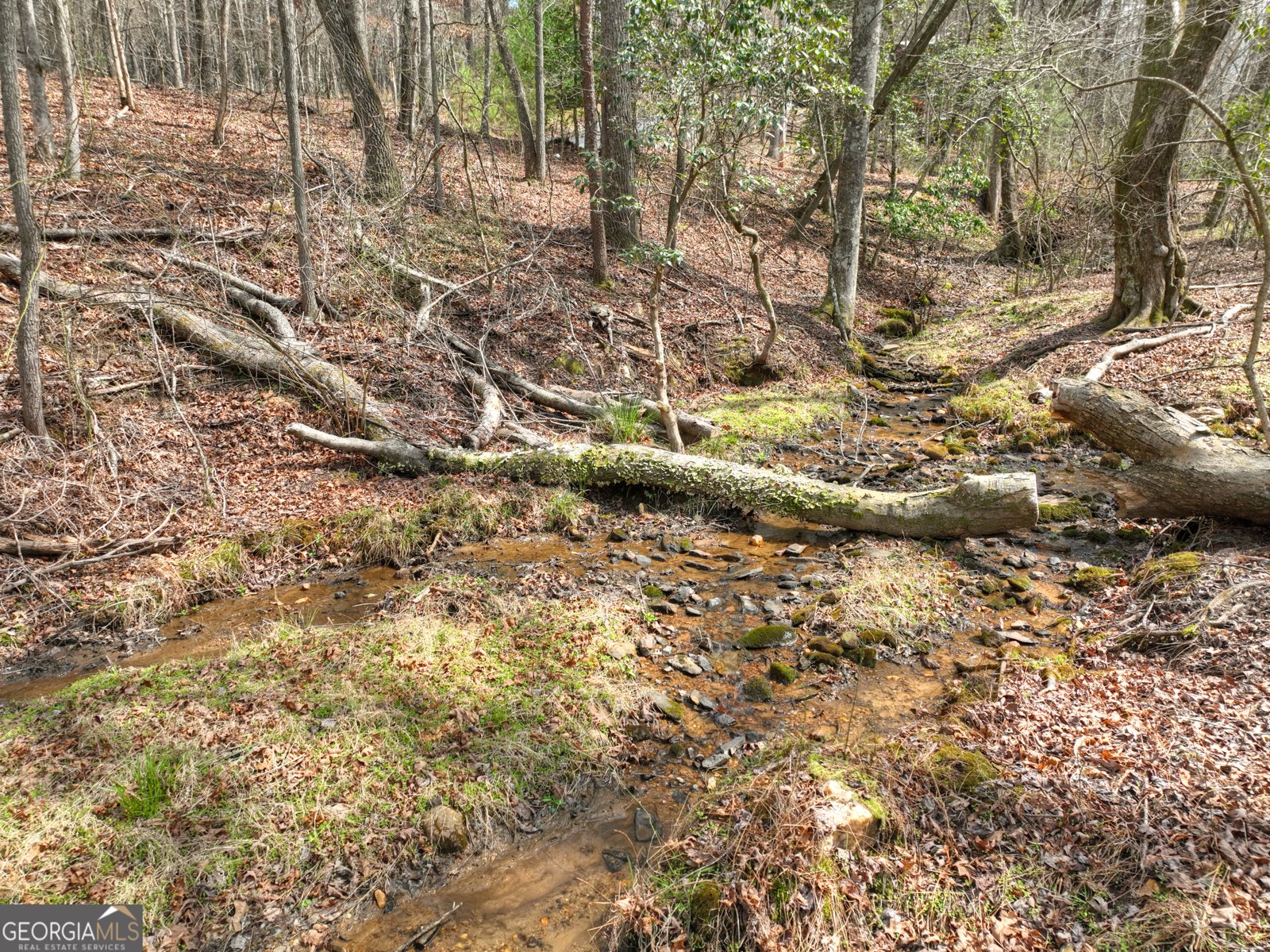 82 Indian Trace Mineral Bluff - Photo 57