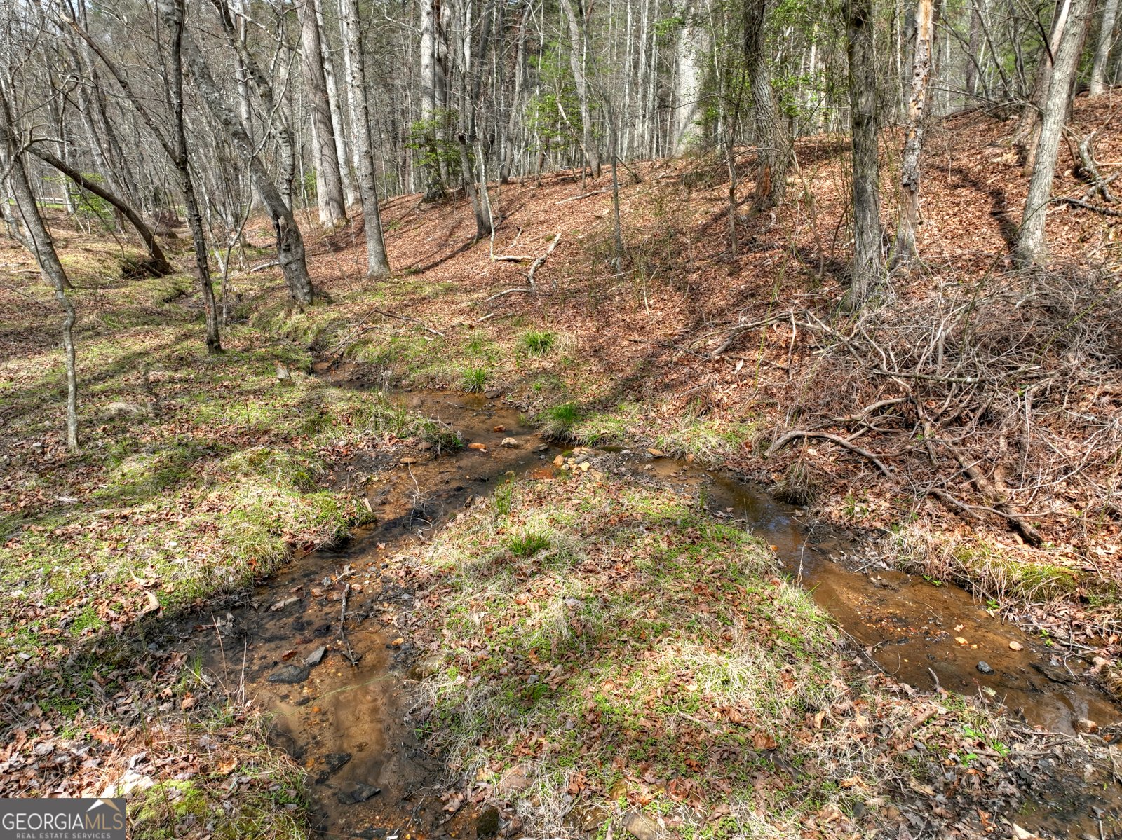 82 Indian Trace Mineral Bluff - Photo 58