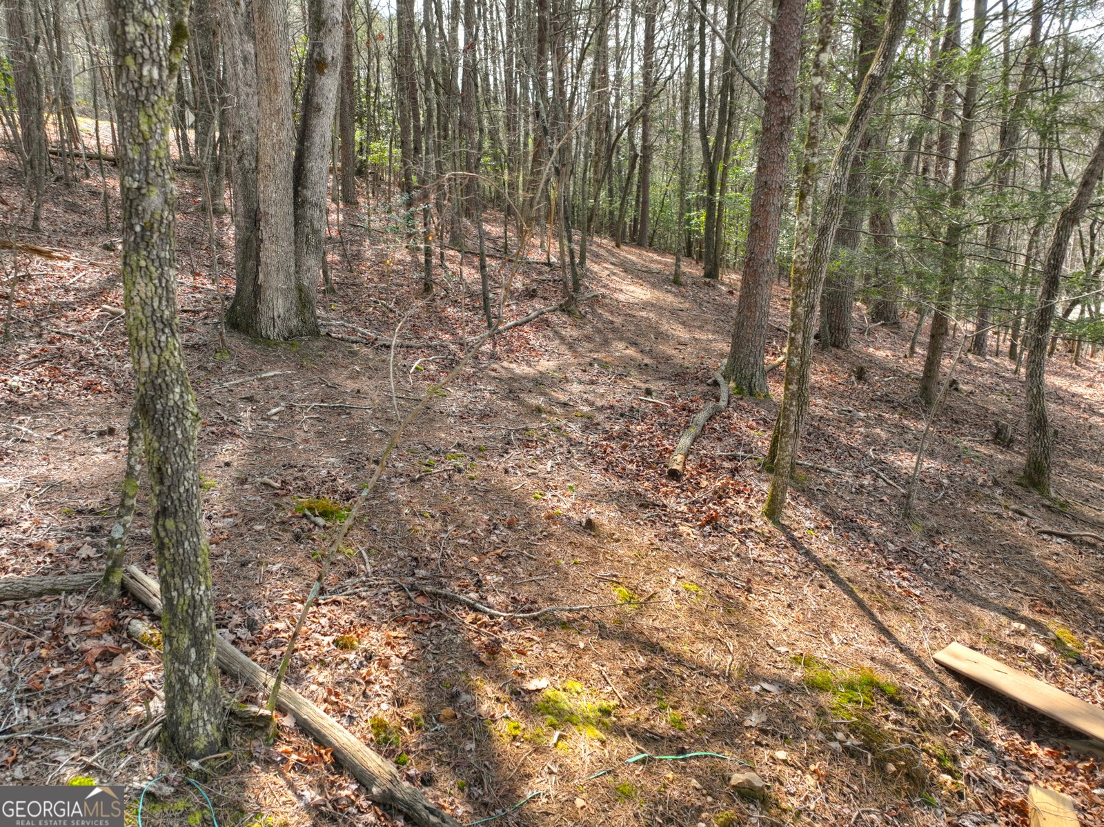 82 Indian Trace Mineral Bluff - Photo 65