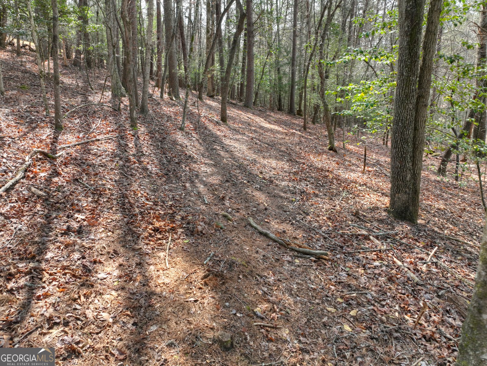 82 Indian Trace Mineral Bluff - Photo 66