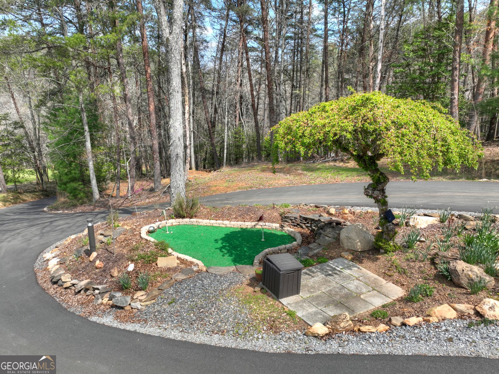 82 Indian Trace Mineral Bluff - Photo 68