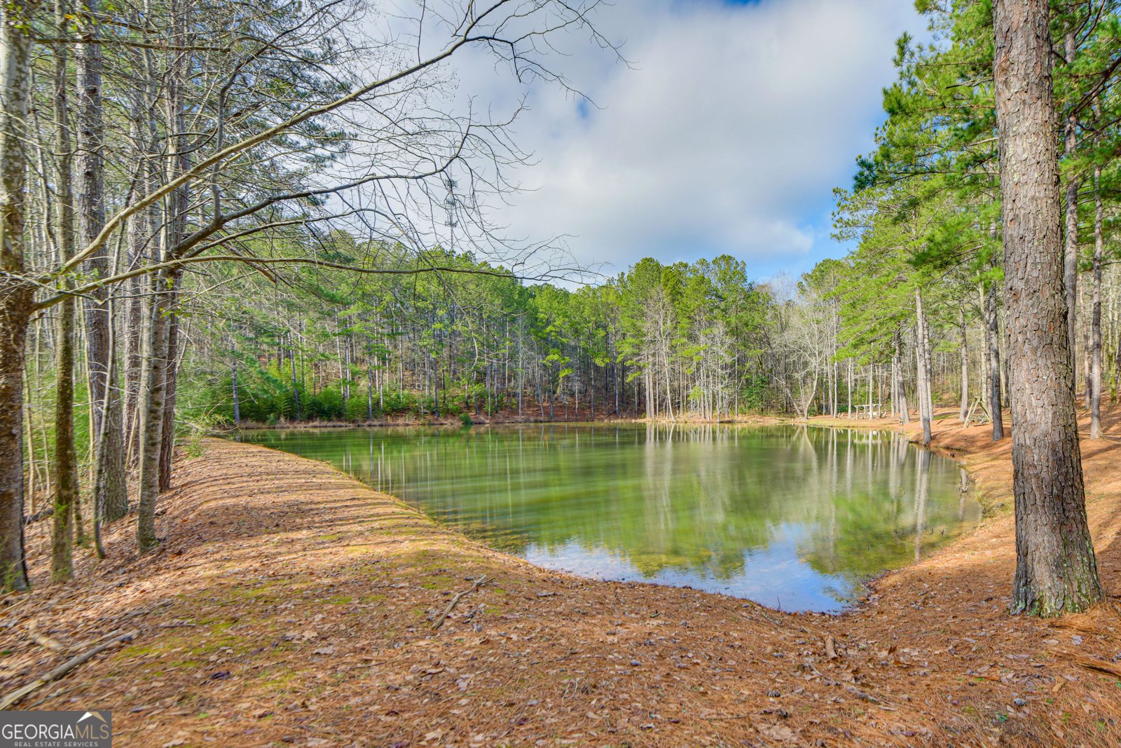 1351 New Franklin Road Lagrange - Photo 55