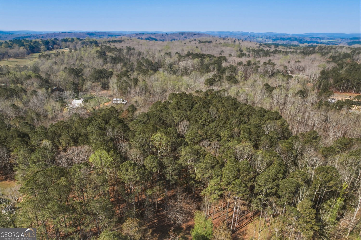 1714 Harris Road Jasper - Photo 79