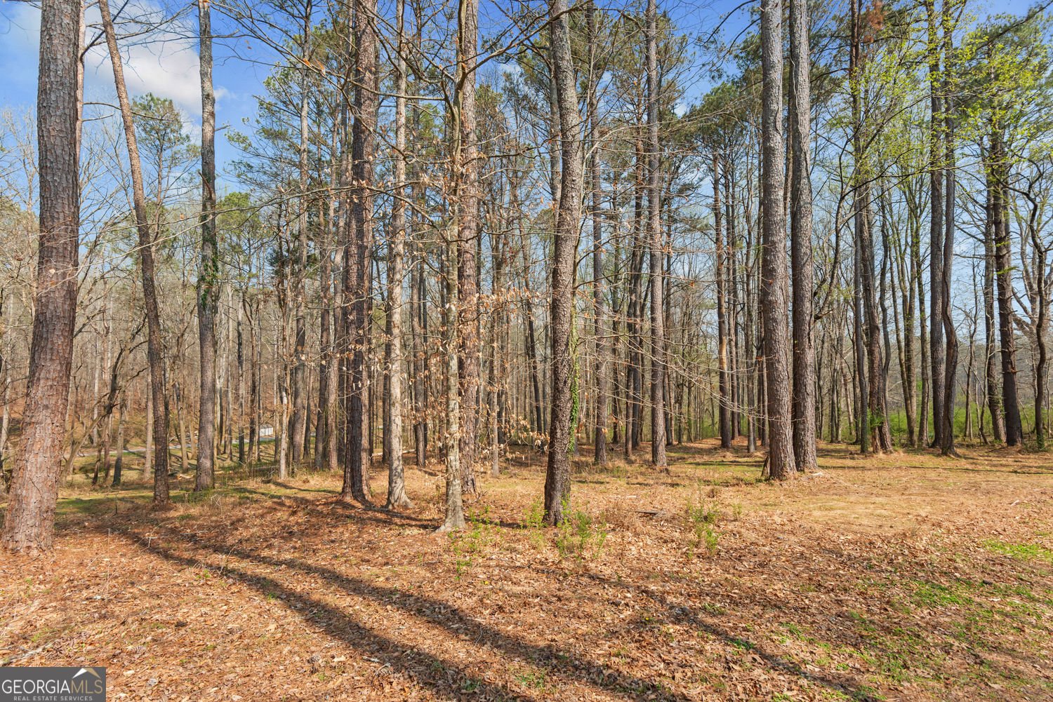 1714 Harris Road Jasper - Photo 87