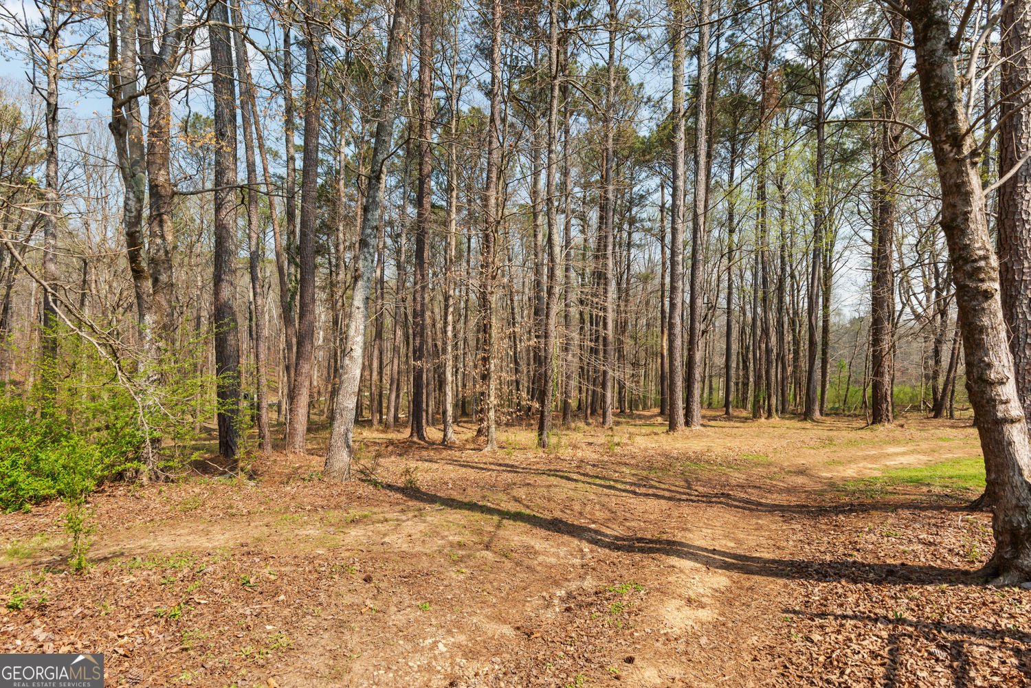 1714 Harris Road Jasper - Photo 88