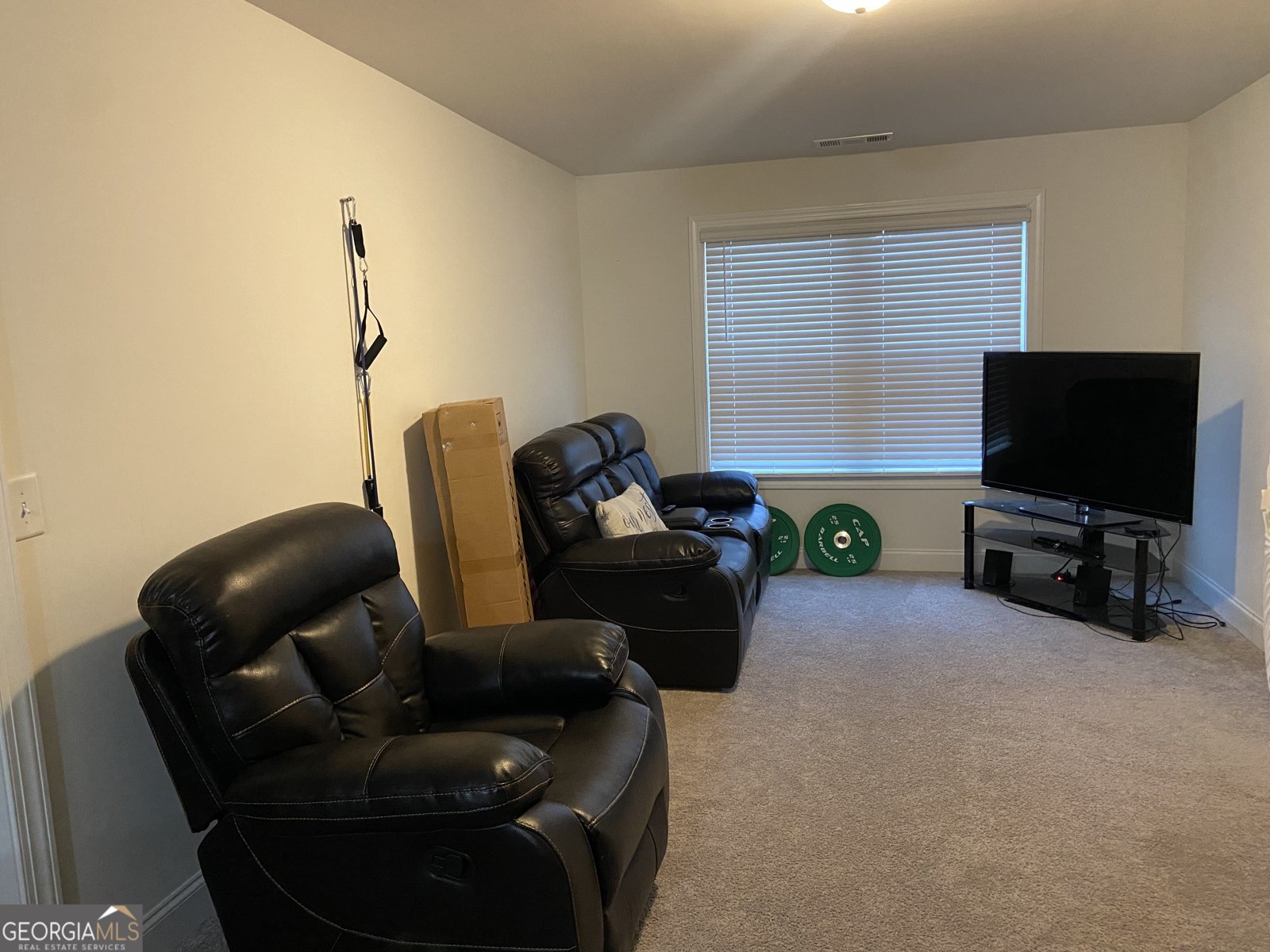 1313 Calgary Lake Drive Winder - Photo 10