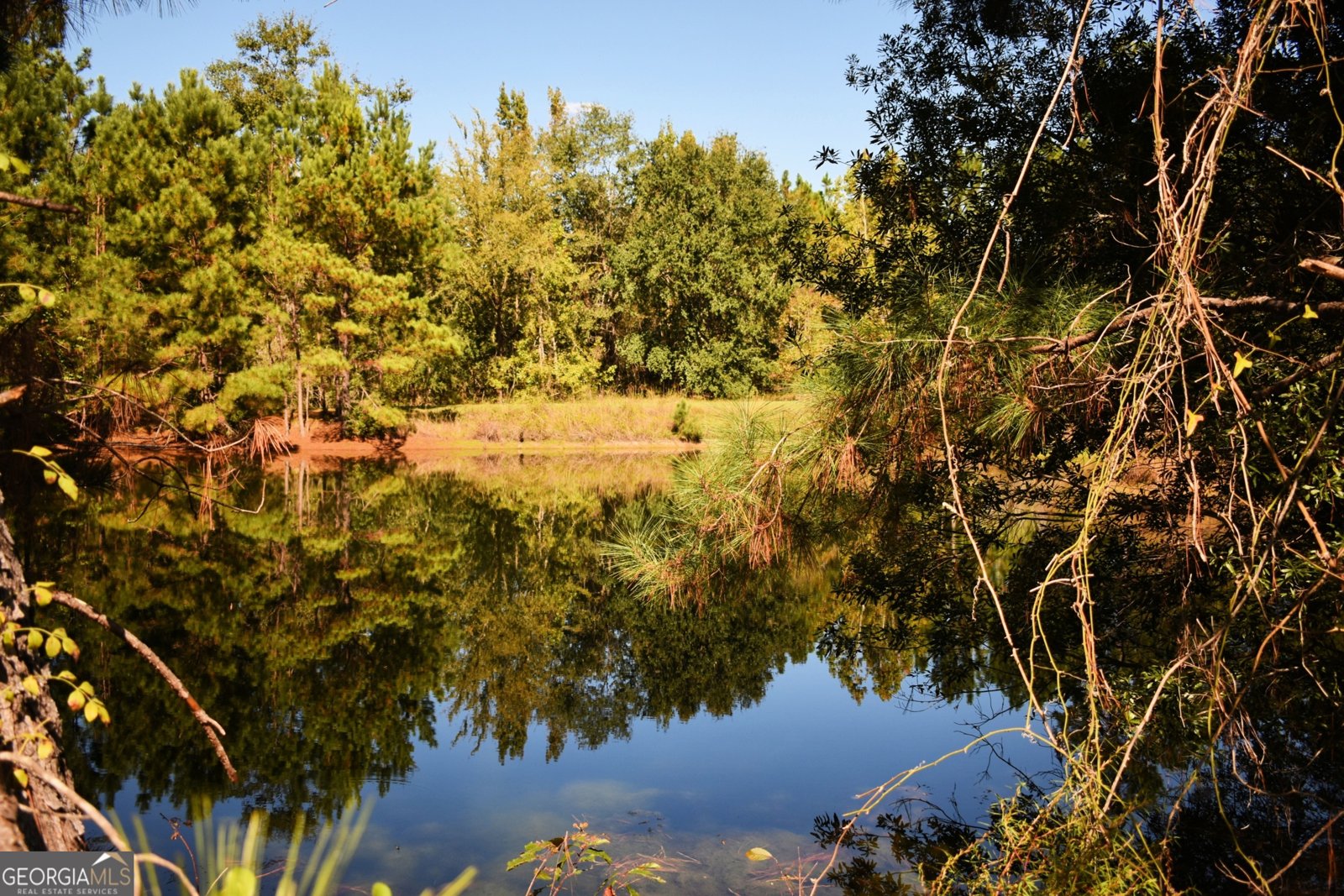 496 Grays Landing Rd Uvalda - Photo 18