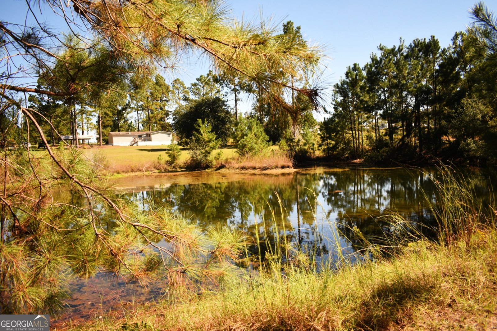 496 Grays Landing Rd Uvalda - Photo 19