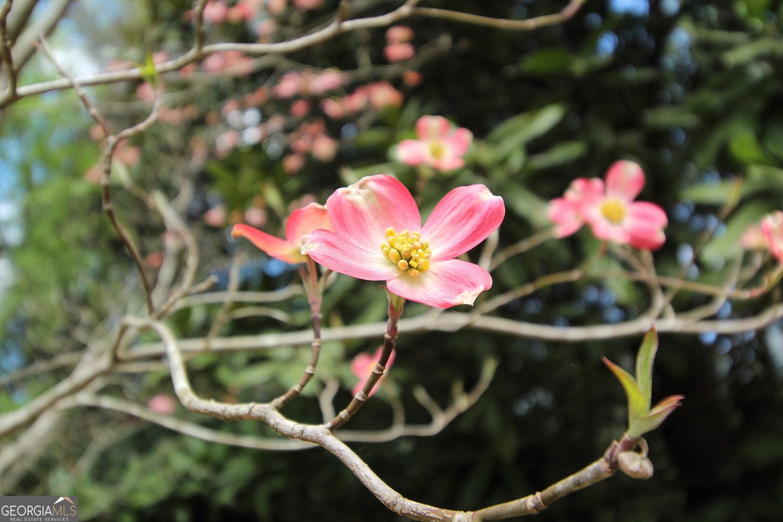 3 View Drive Rome - Photo 11