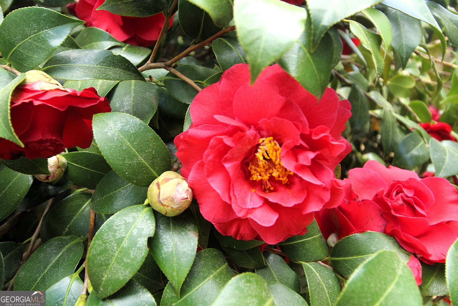 3 View Drive Rome - Photo 17