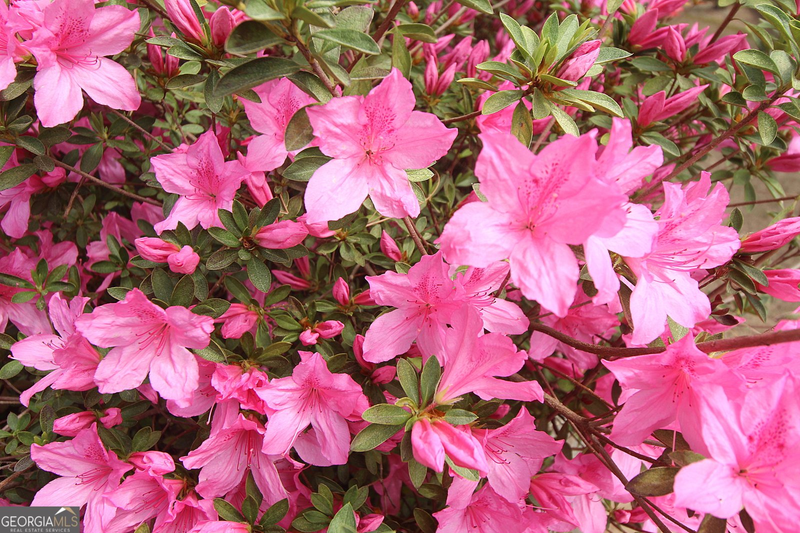 3 View Drive Rome - Photo 8