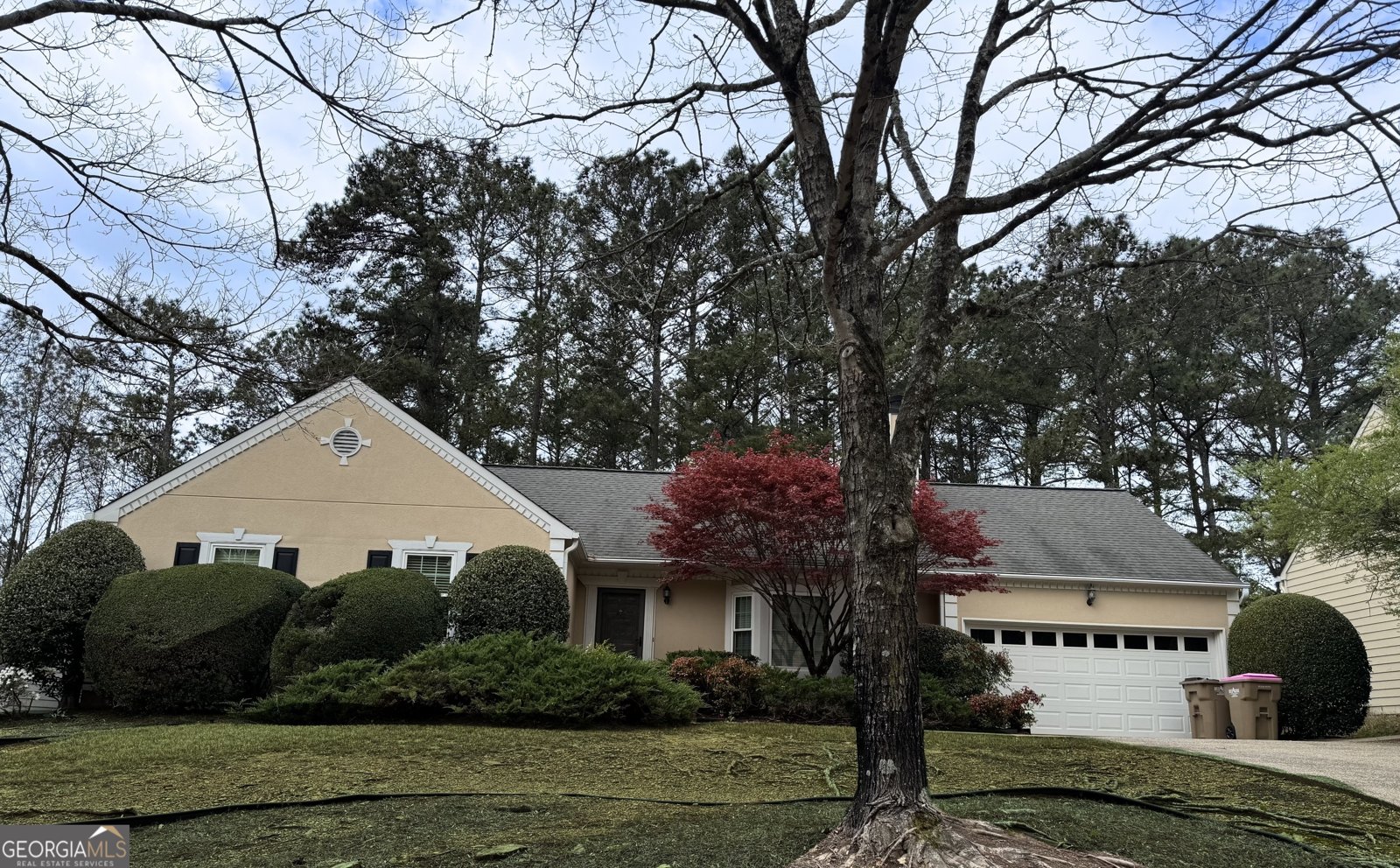11120 Abbotts Station Drive Johns Creek - Photo 1