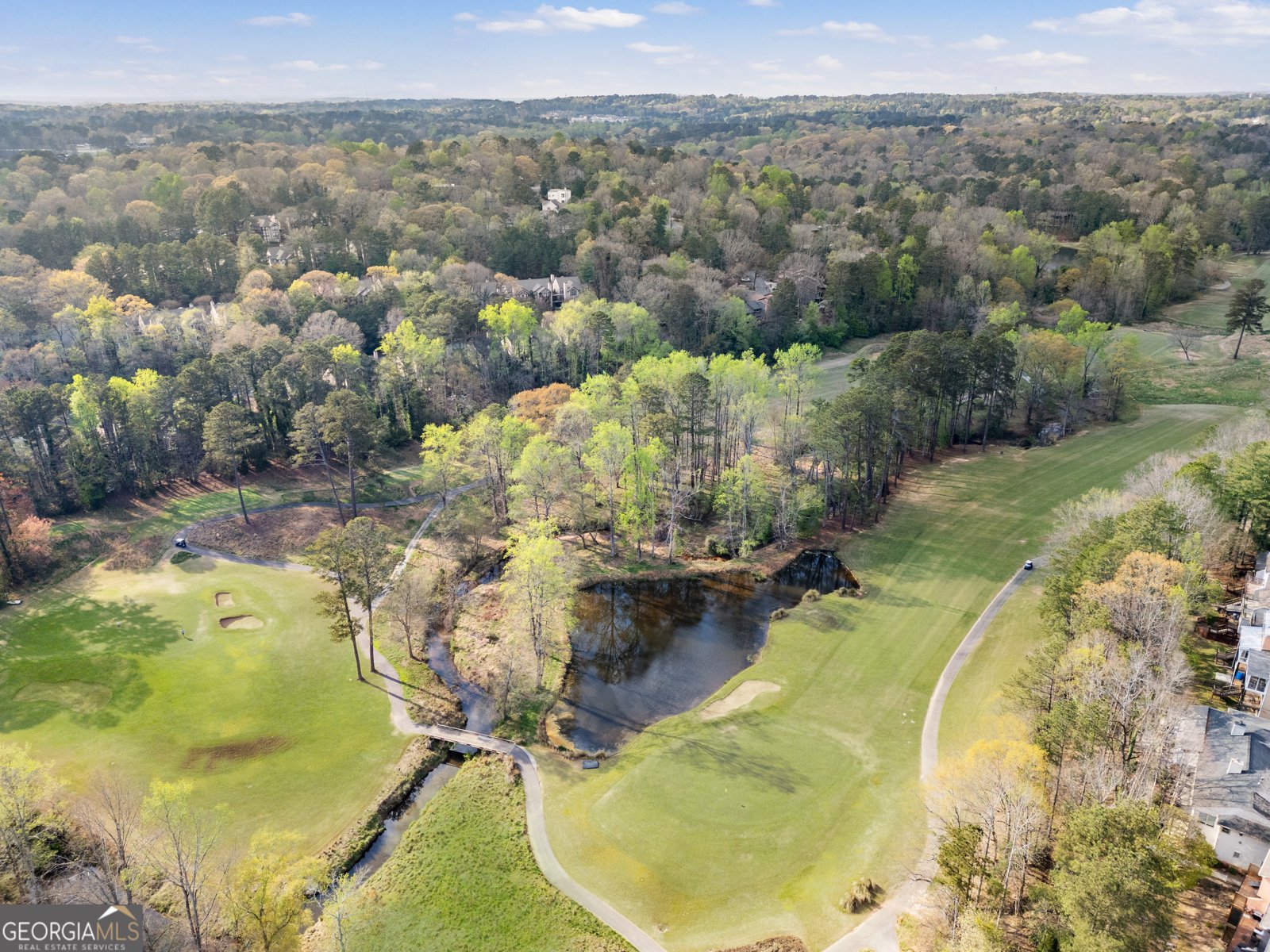 210 Colony Ridge Drive Alpharetta - Photo 39