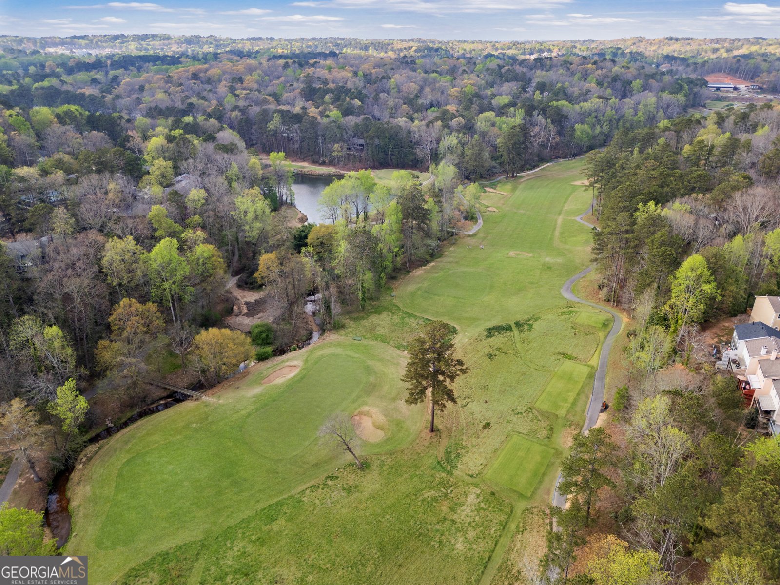 210 Colony Ridge Drive Alpharetta - Photo 41