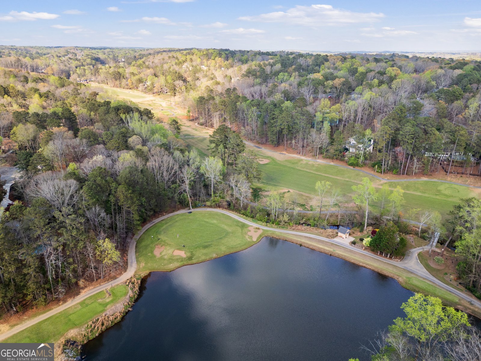 210 Colony Ridge Drive Alpharetta - Photo 8
