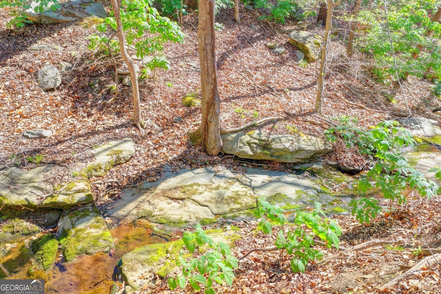 734 Weller Path Sugar Hill - Photo 41