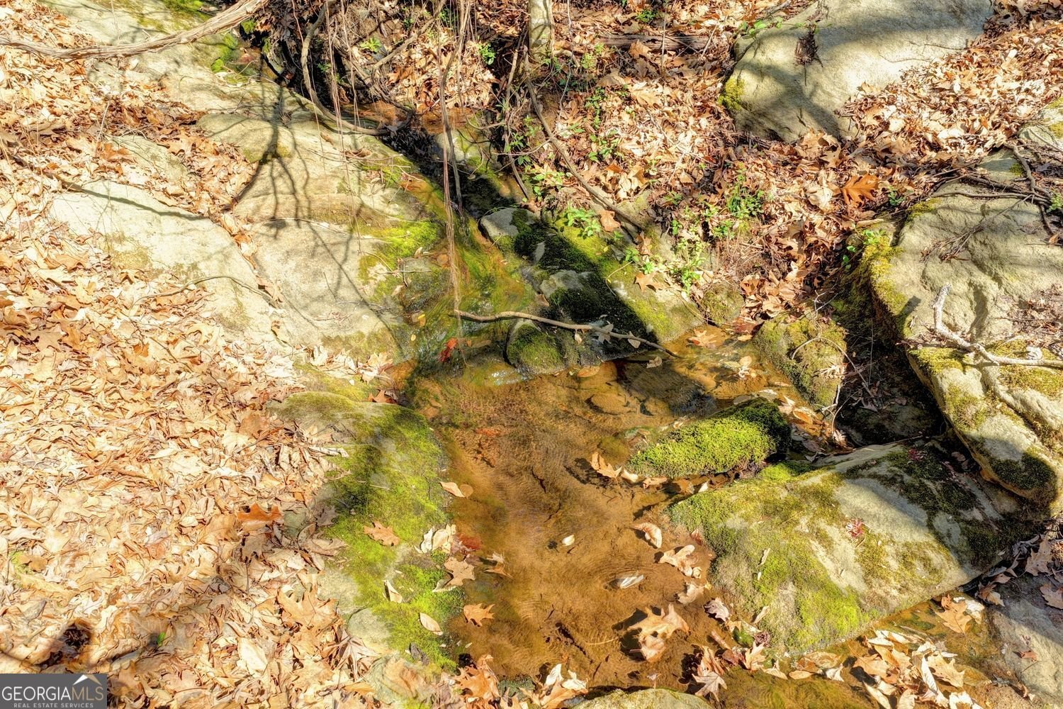 734 Weller Path Sugar Hill - Photo 42