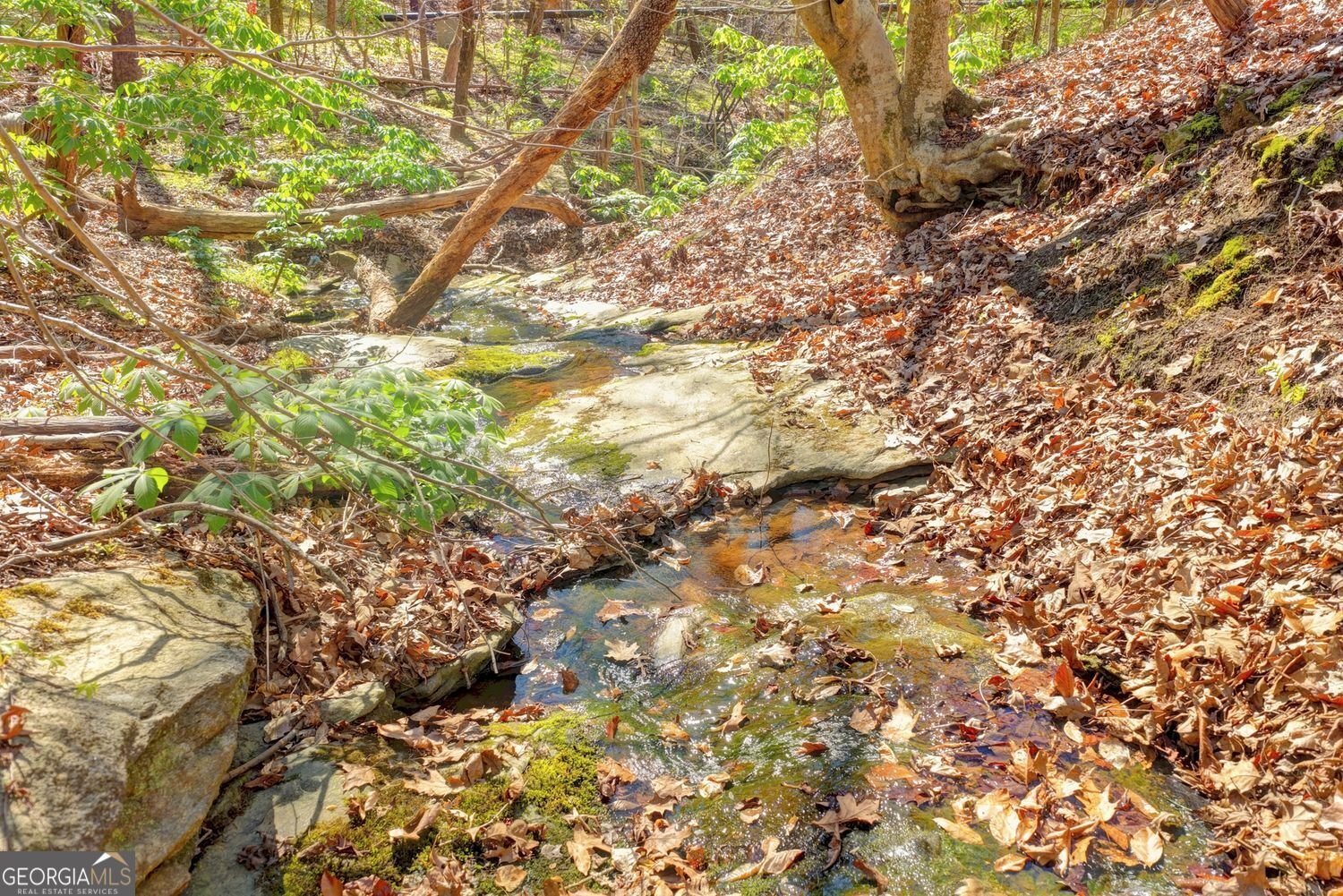 734 Weller Path Sugar Hill - Photo 43