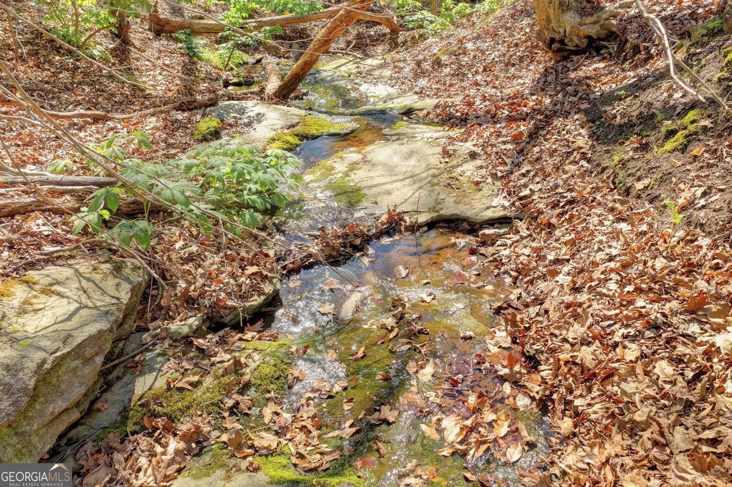 734 Weller Path Sugar Hill - Photo 44