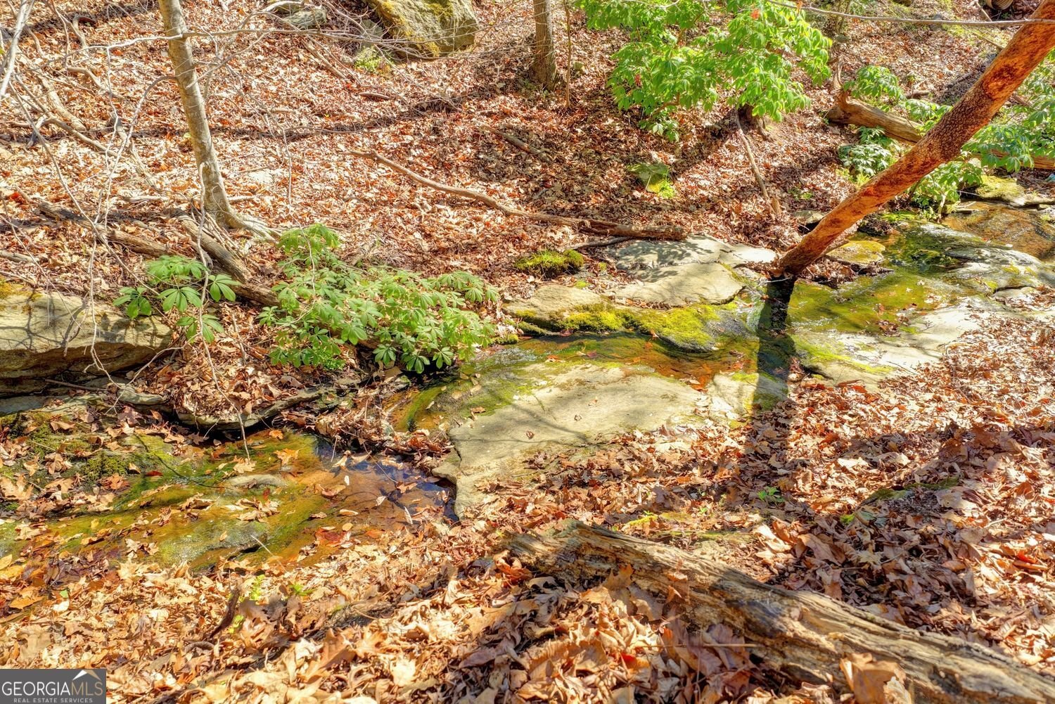 734 Weller Path Sugar Hill - Photo 45