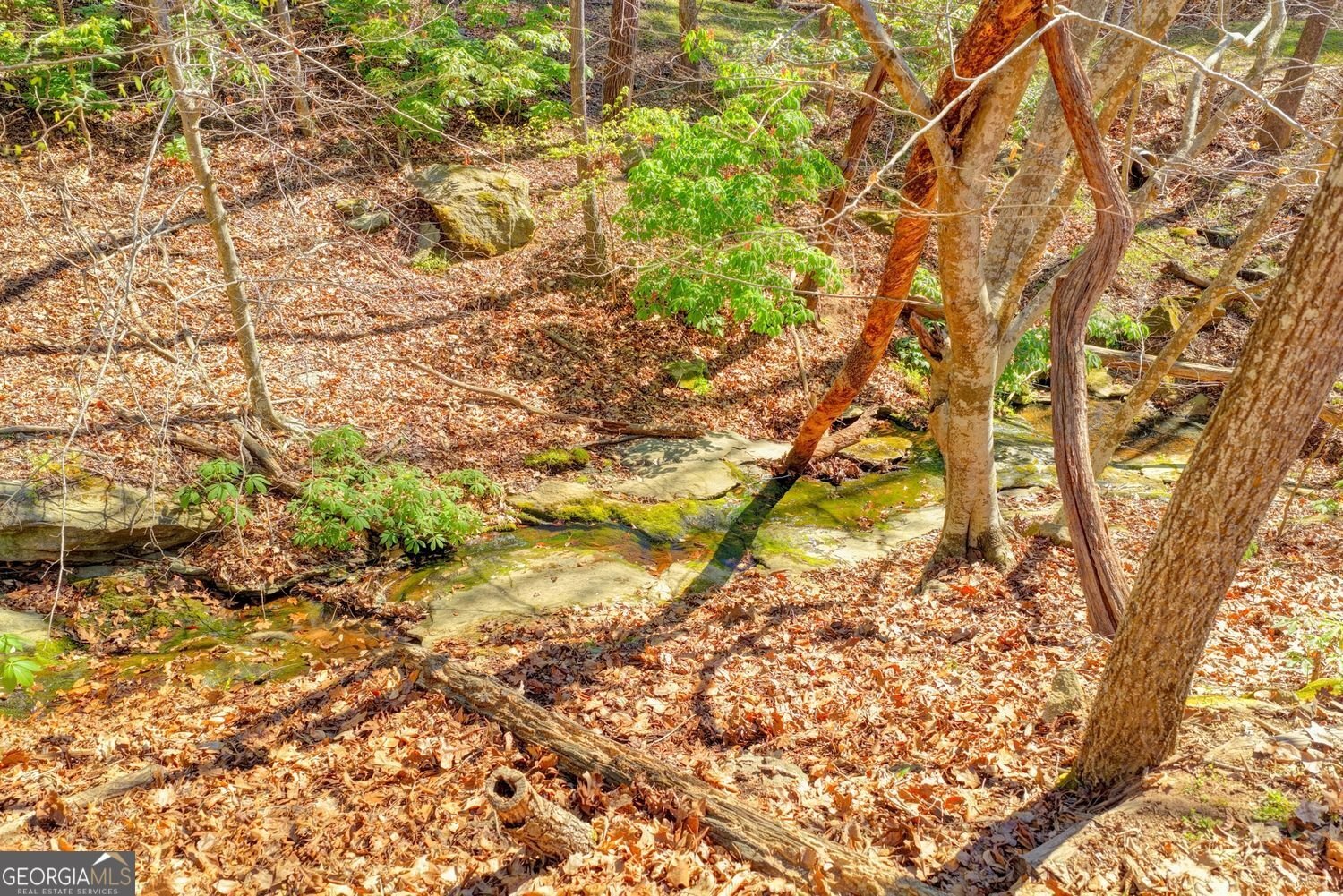 734 Weller Path Sugar Hill - Photo 46