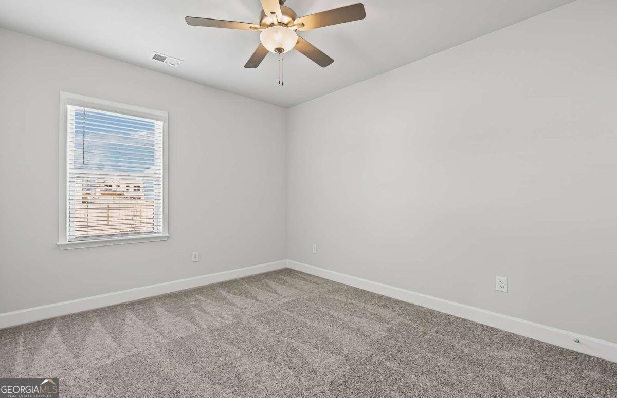 244 Delilah Street Mcdonough - Photo 10