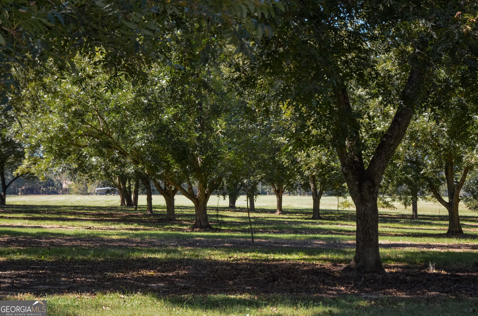 318 Church Street Parrott - Photo 18